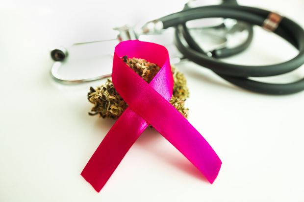 Cannabis bud with a Cancer ribbon
